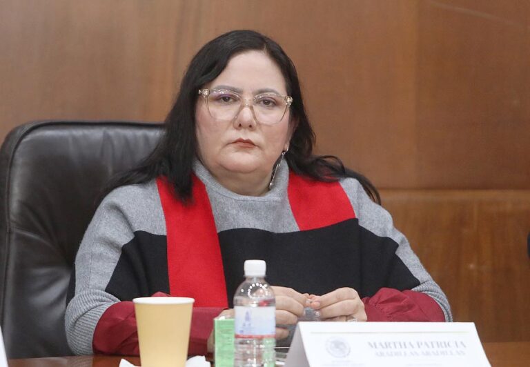 Dip. Martha Patricia Aradillas Aradillas