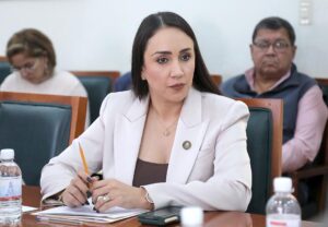 Dip.Brisseire Sánchez López