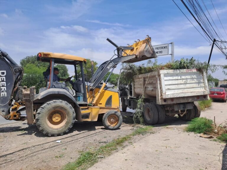 Imagen de WhatsApp 2025-07-07 a las 12.34.53_6196a9dd
