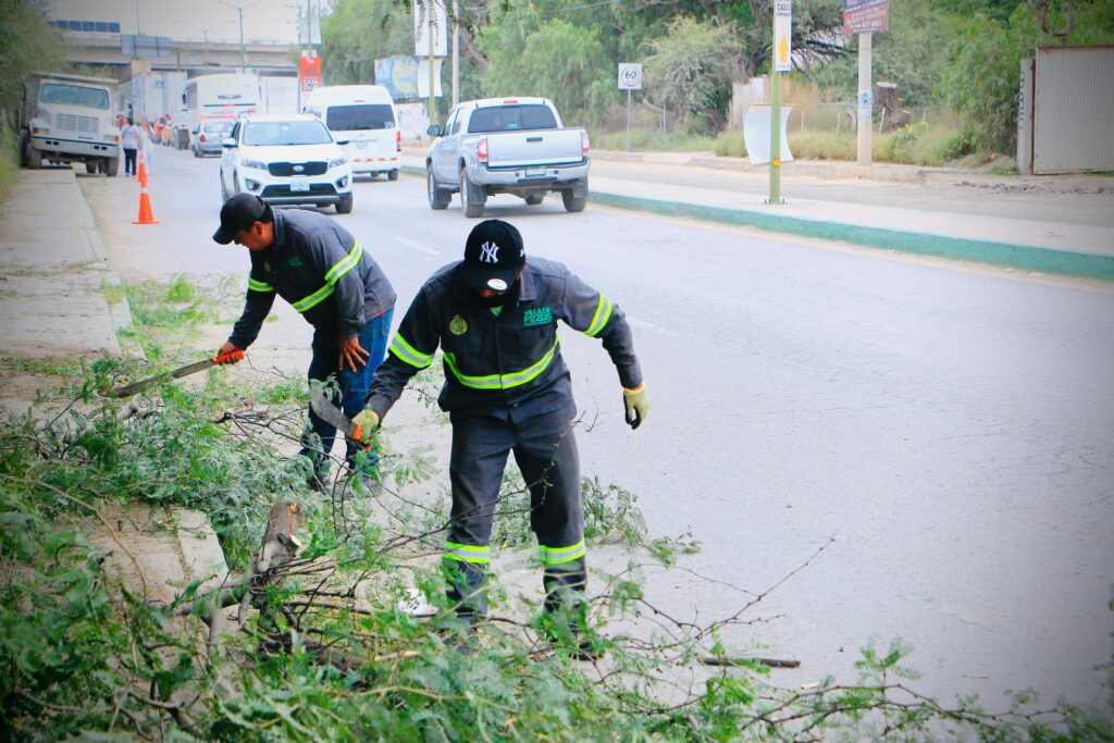 Imagen-de-WhatsApp-2025-07-14-a-las-13.07.30_2030c404-1024x683.jpg