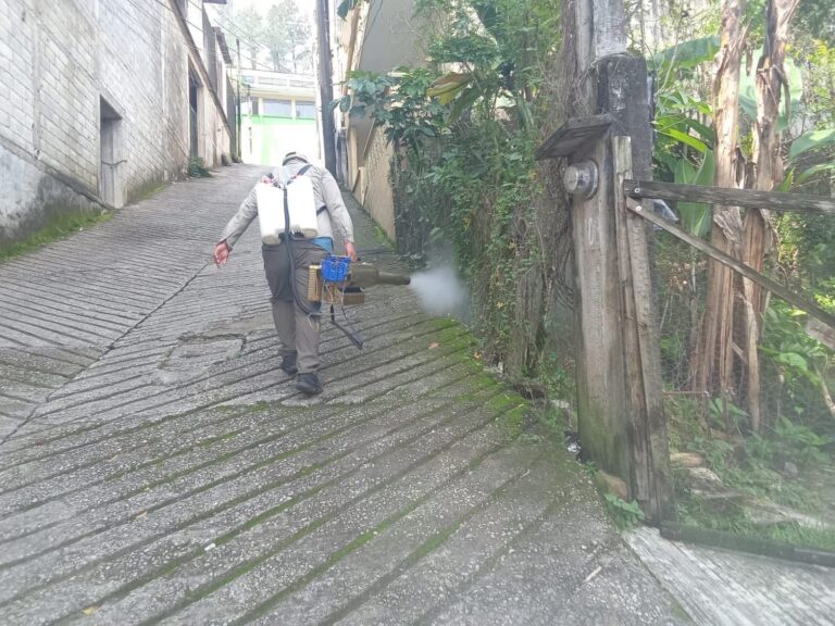 Imagen de WhatsApp 2025-07-14 a las 18.32.17_fe6daead