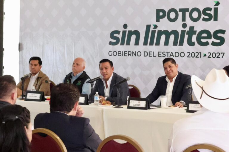 Imagen de WhatsApp 2025-07-16 a las 15.22.20_761fa3b1