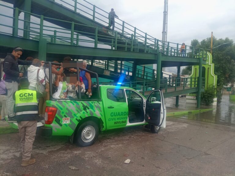 Imagen de WhatsApp 2025-07-16 a las 17.12.16_08f77a5e