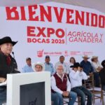 Imagen de WhatsApp 2025-07-17 a las 16.34.36_b2afa4fb