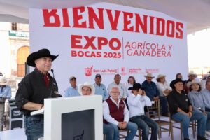 Imagen de WhatsApp 2025-07-17 a las 16.34.36_b2afa4fb