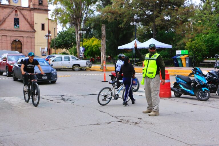 Imagen de WhatsApp 2025-07-22 a las 12.15.14_08e857a5