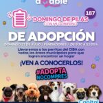 Imagen de WhatsApp 2025-07-22 a las 17.55.41_70a250d6