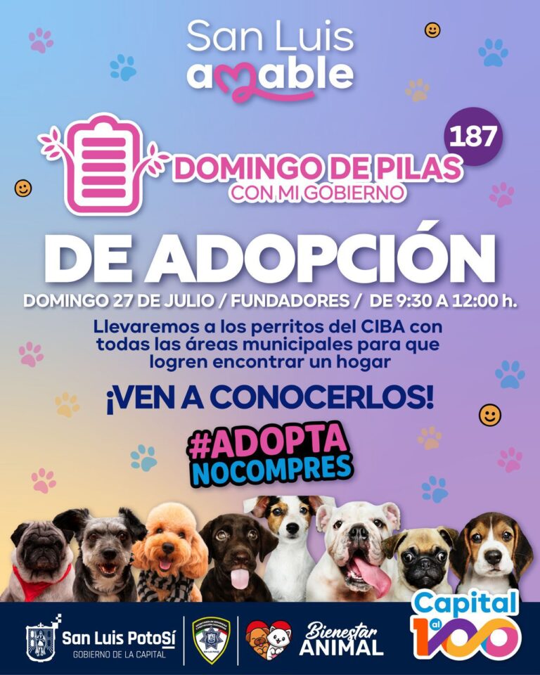 Imagen de WhatsApp 2025-07-22 a las 17.55.41_70a250d6