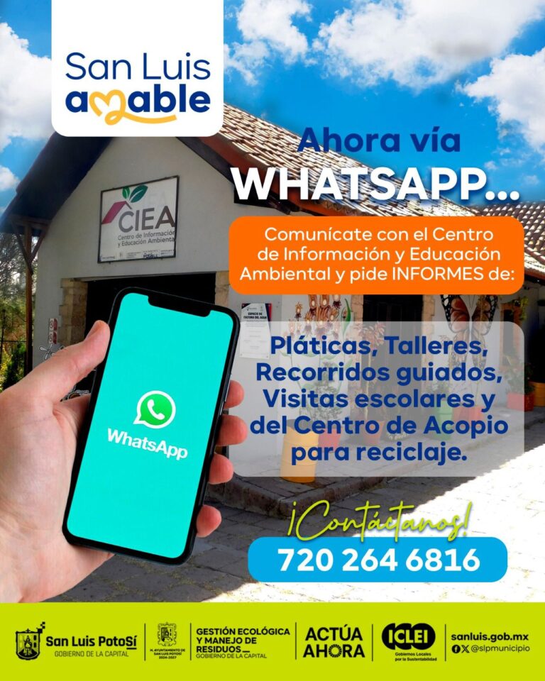 Imagen de WhatsApp 2025-07-24 a las 12.03.03_5cefdbf3