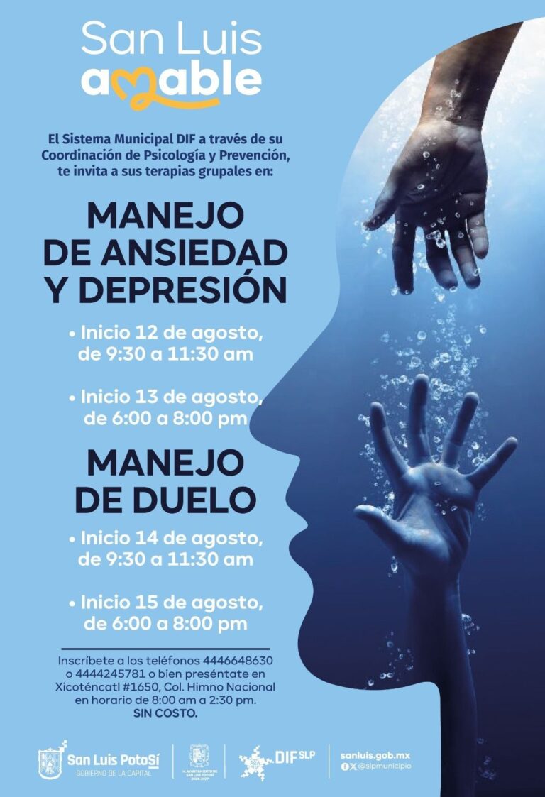 Imagen de WhatsApp 2025-07-30 a las 14.41.29_f2232672