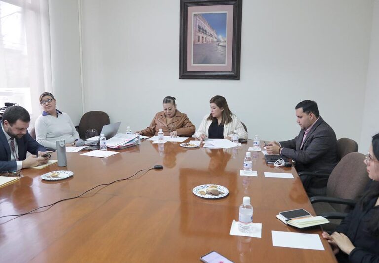 Comisión de Movilidad, Comunicaciones y Transportes.