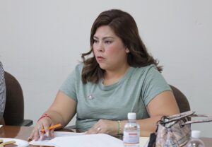 Dip. Diana Ruelas Gaitán