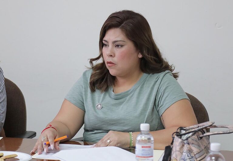 Dip. Diana Ruelas Gaitán