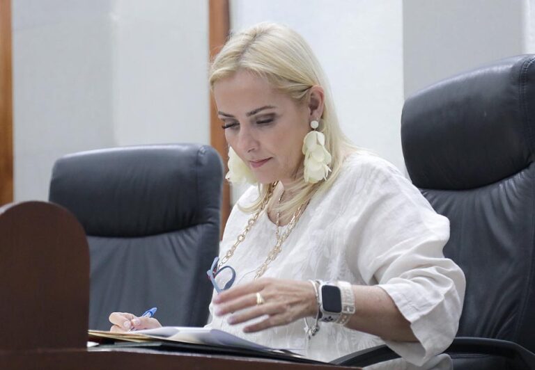 Dip. María Aranzazu Puente Bustindui