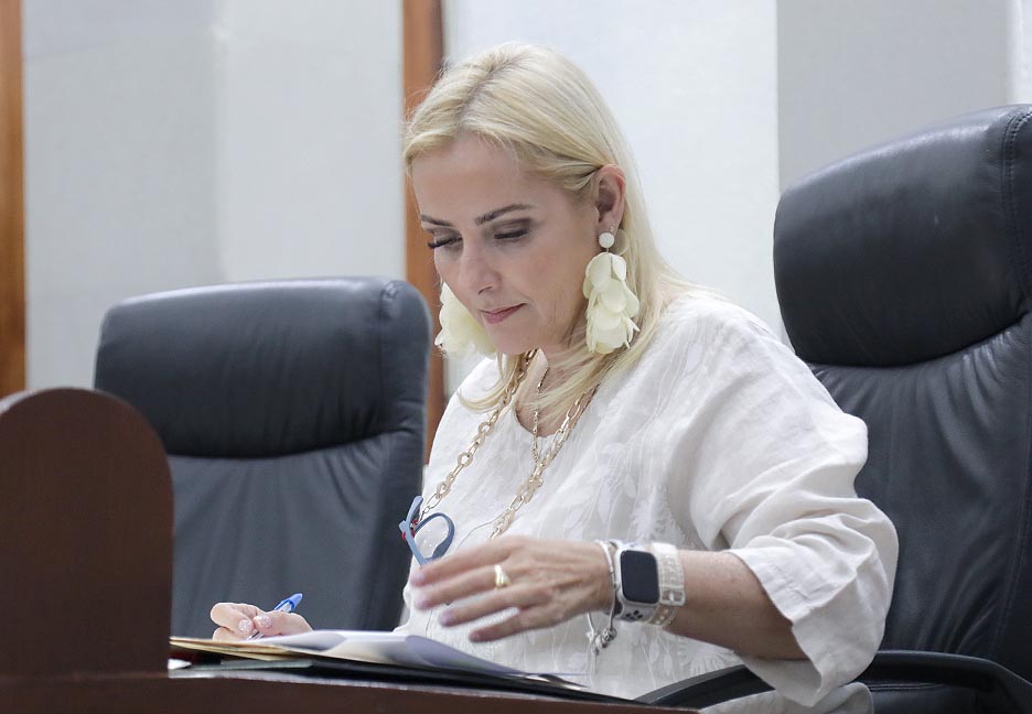 Dip. María Aranzazu Puente Bustindui