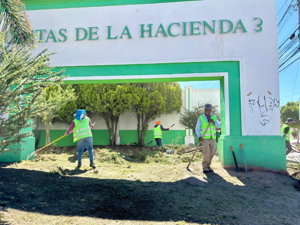 Imagen-de-WhatsApp-2025-08-04-a-las-14.32.52_c3da004f-1024x768.jpg