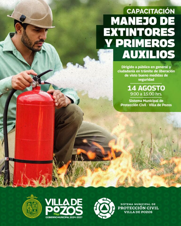 Imagen de WhatsApp 2025-08-12 a las 13.42.17_71a023f7