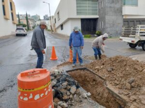 Imagen de WhatsApp 2025-08-13 a las 18.17.45_8d3366a8