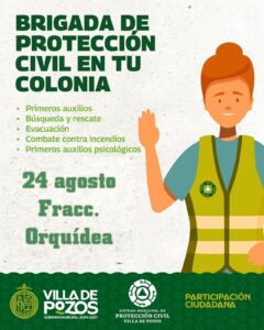 Imagen de WhatsApp 2025-08-20 a las 14.38.51_b8aa69be
