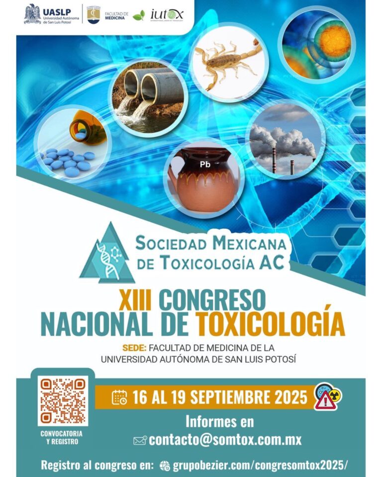 Imagen de WhatsApp 2025-08-23 a las 11.40.23_51d3fa10