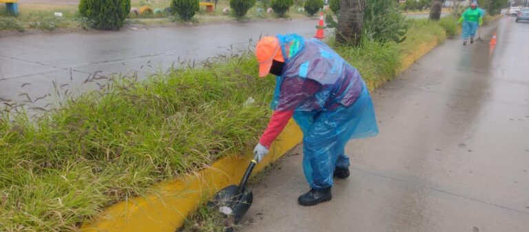 Imagen de WhatsApp 2025-08-25 a las 15.11.58_ec99dd69