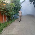 Imagen de WhatsApp 2025-08-27 a las 16.31.19_582ff0e6