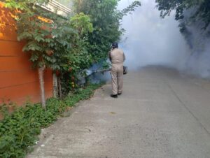 Imagen de WhatsApp 2025-08-27 a las 16.31.19_582ff0e6