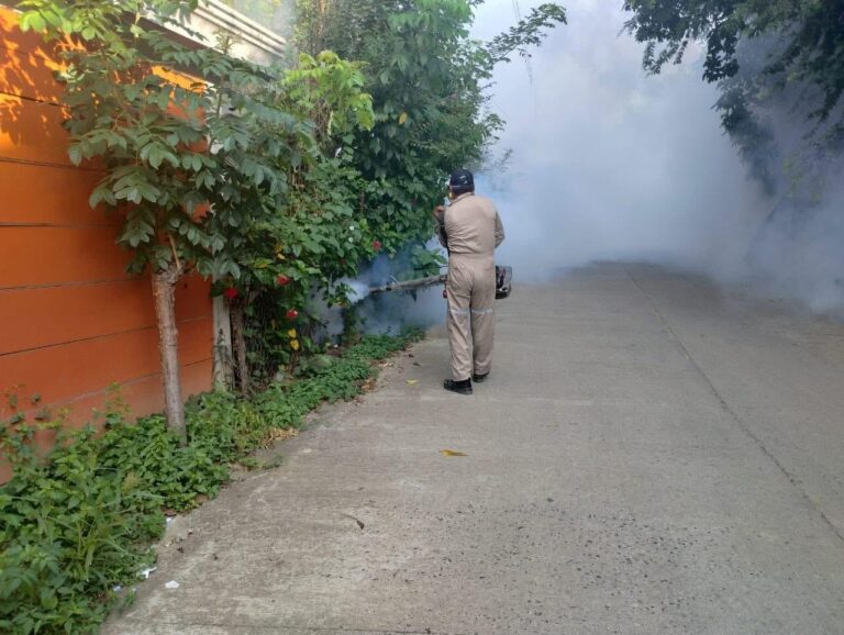 Imagen de WhatsApp 2025-08-27 a las 16.31.19_582ff0e6