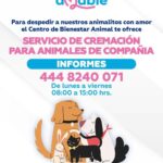 Imagen de WhatsApp 2025-08-30 a las 12.20.15_a4334632