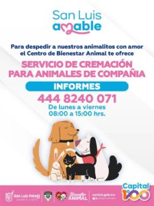 Imagen de WhatsApp 2025-08-30 a las 12.20.15_a4334632