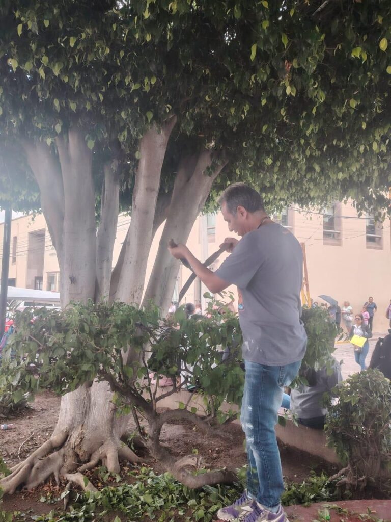 Imagen de WhatsApp 2025-08-30 a las 16.21.24_cba648ee