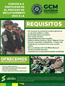 Imagen de WhatsApp 2025-08-31 a las 12.14.20_d27d709a